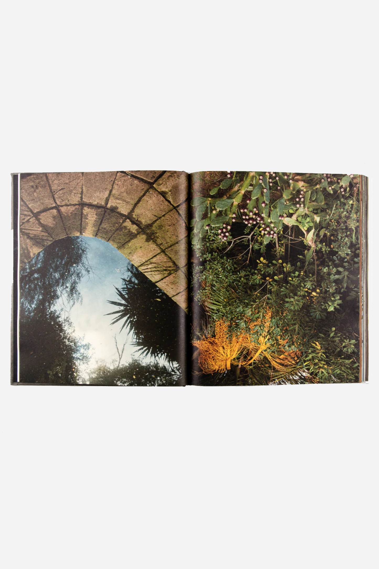 The House of Xavier Corberó