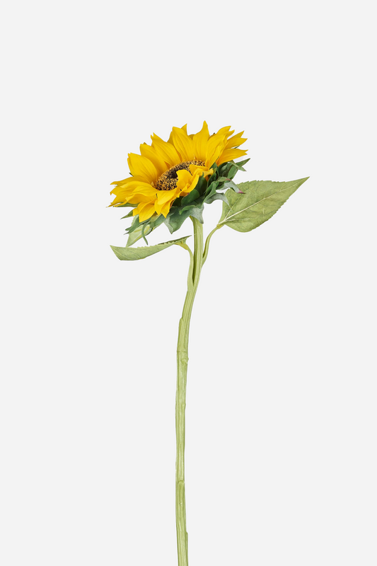 Sunflower Yellow