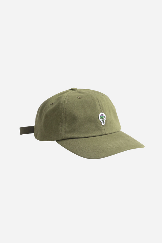Artichoke Cap Olive