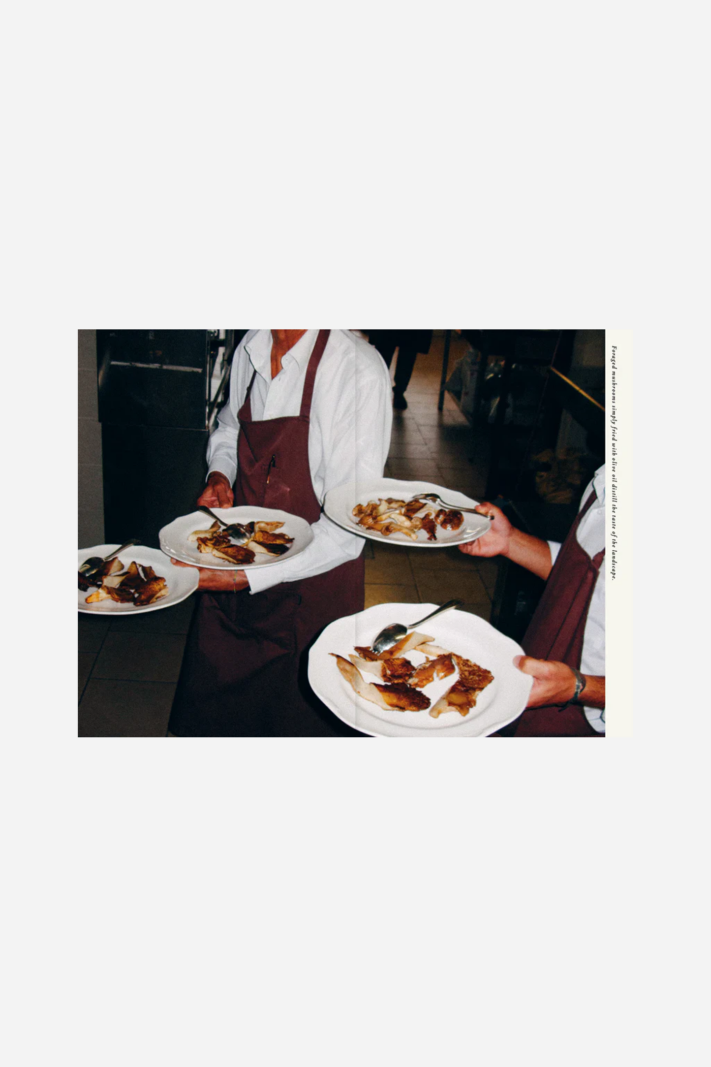 A Book About Olive Oil