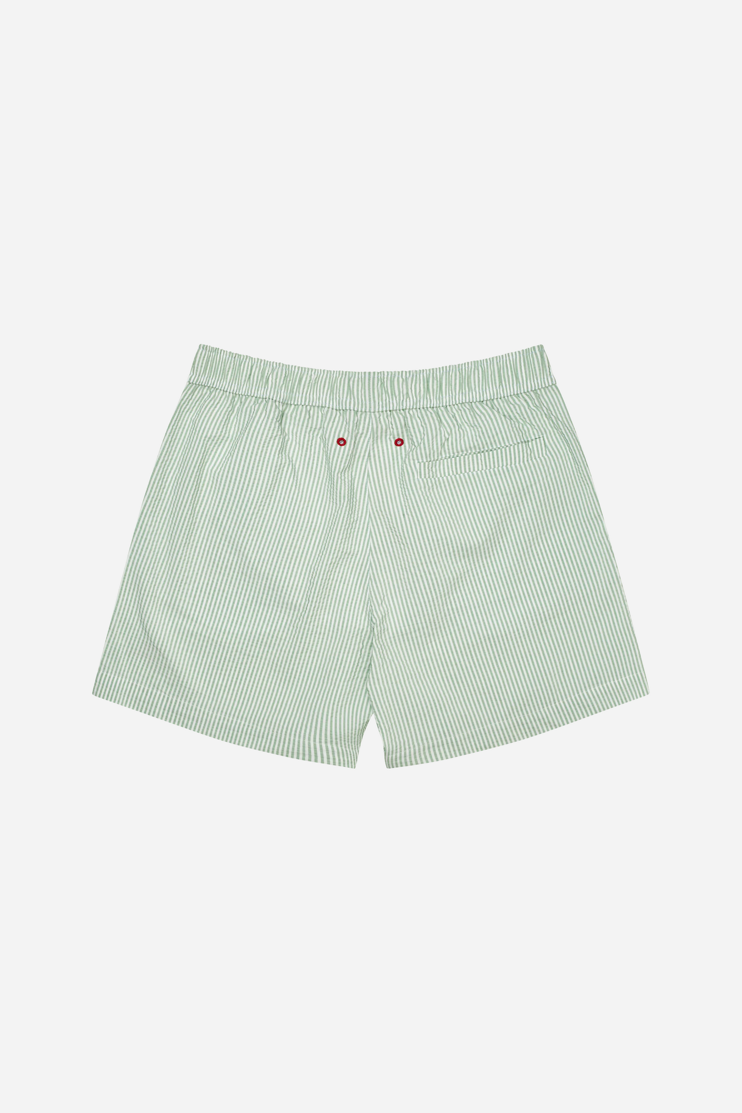 Green Stripe Swim Trunks