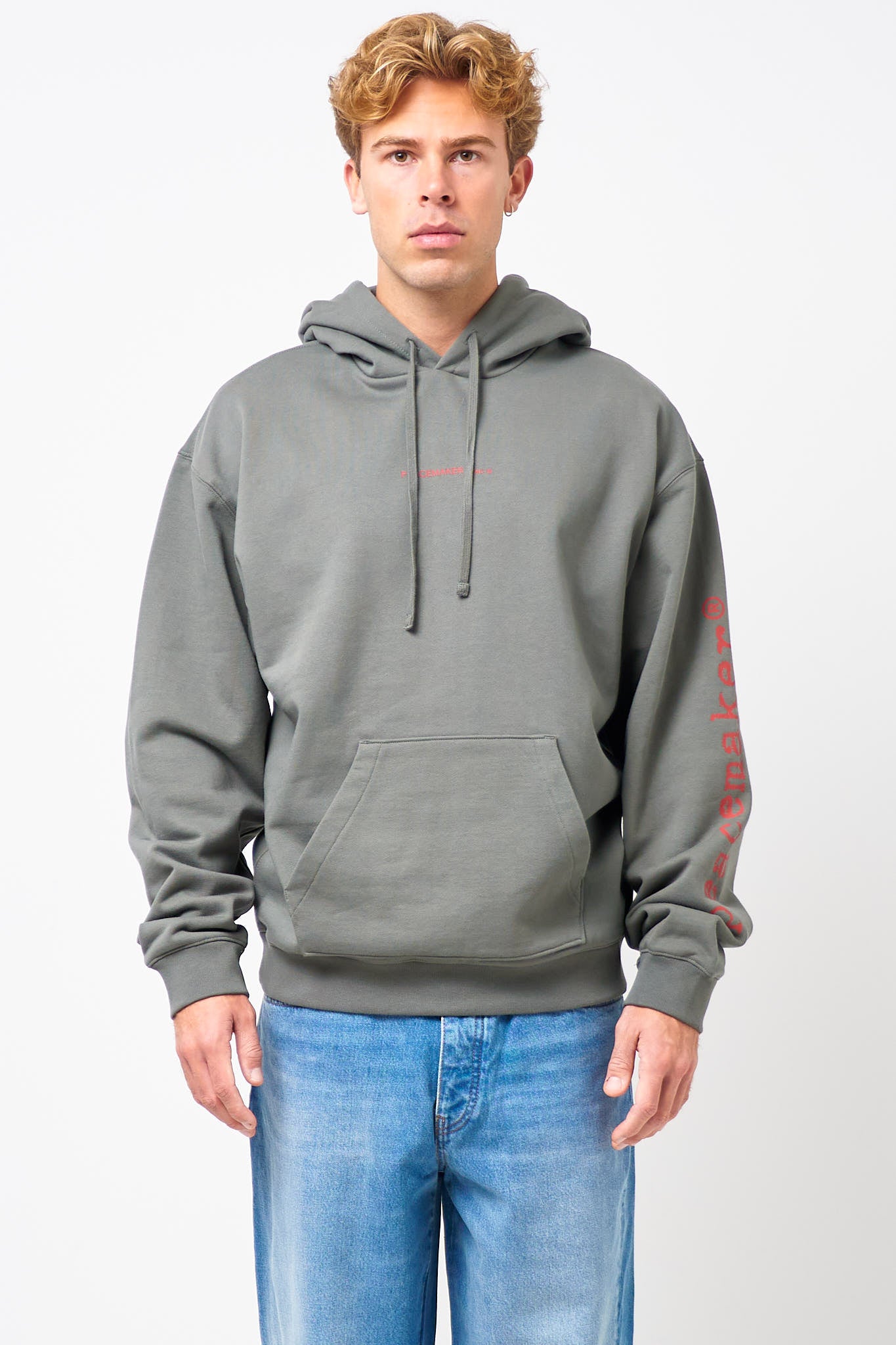 Loose Fit Hoodie Pigeon Print Gray