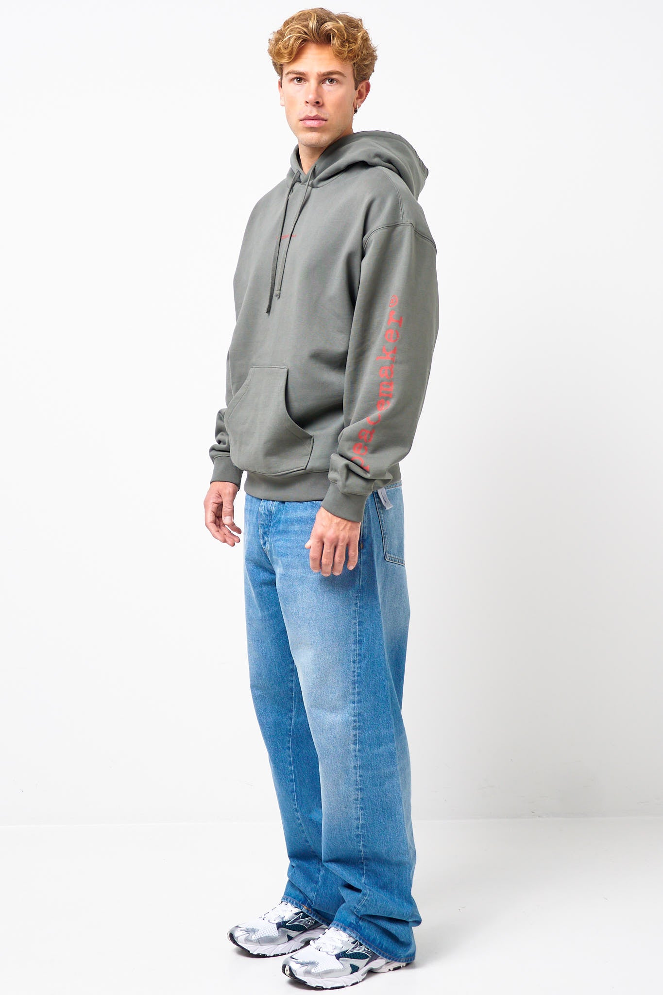 Loose Fit Hoodie Pigeon Print Gray