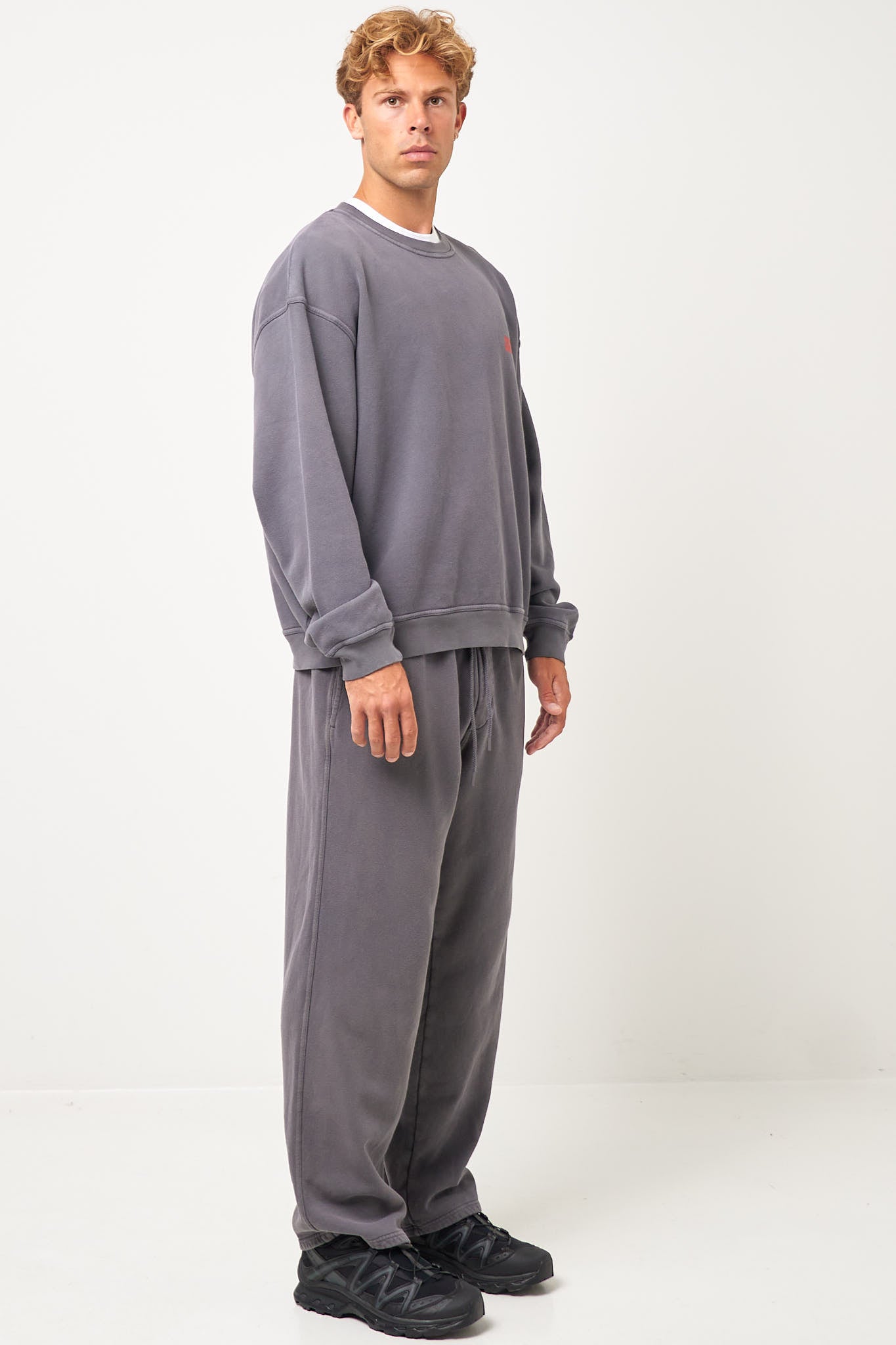 Plizzy Sweatshirt Vintage Ashen