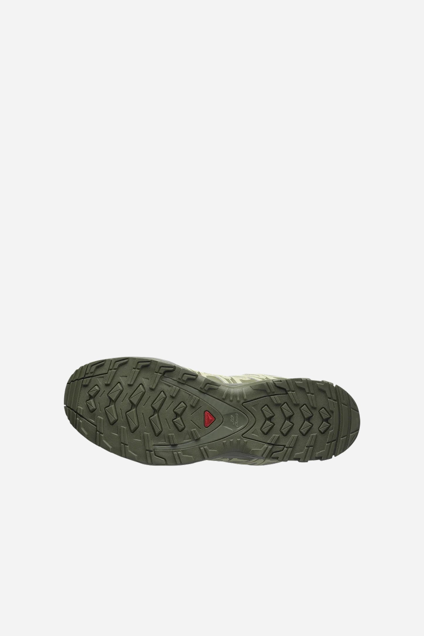 XA Pro 3D GTX Gray Green/Alfalfa/Deep Lichen Green